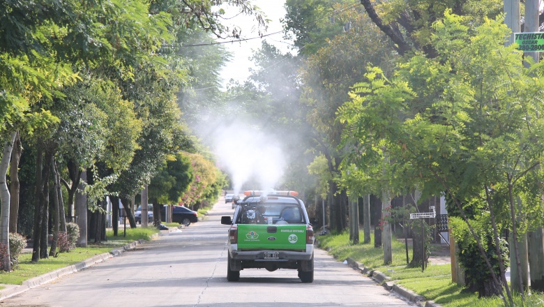 El Municipio continúa con operativos de fumigación y desratización