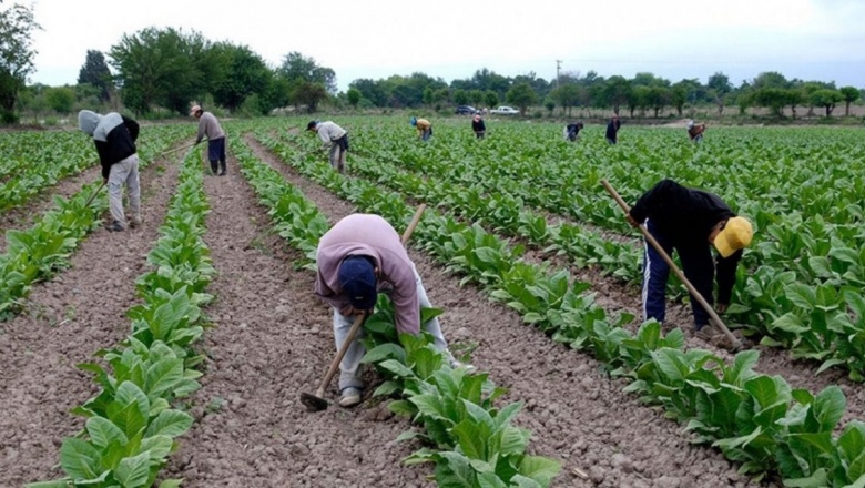 Trabajo analiza las formas de pagar los 4.000 pesos a los peones rurales y el personal doméstico