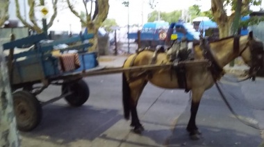 Detienen a "roba cables" a caballo, pero los liberan por ser menores