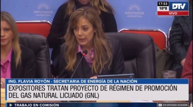 Royon aseguró que el proyecto de Gas Natural Licuado “cambiaría la realidad productiva y económica”