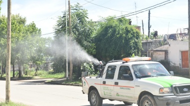 Fumigación y desratización en Luis Guillón