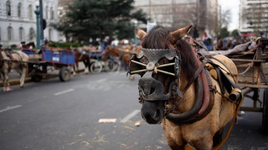 El intendente Álvarez dijo que no arreglará las calles de Lanús, pero lanzó un censo de caballos