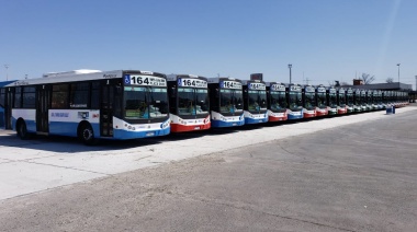 El sábado vuelven a funcionar las ex líneas 165 y 112 con nuevos operadores