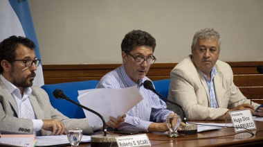 El Cuerpo repudió de forma unánime el golpe de Estado en Bolivia