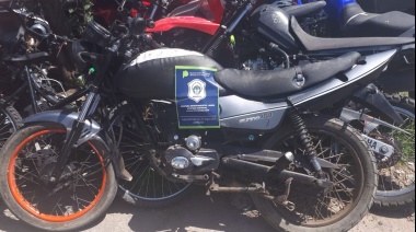 Clausuraron un desarmadero de autos robados y detuvieron a dos jóvenes