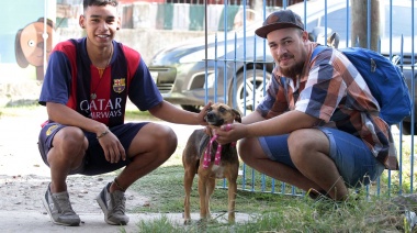 Almirante Brown y Quilmes realizan castraciones a más de cien mascotas por día