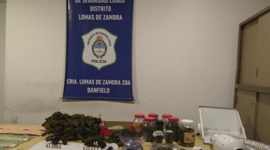 Allanan un "invernadero de marihuana" en una casa de Banfield