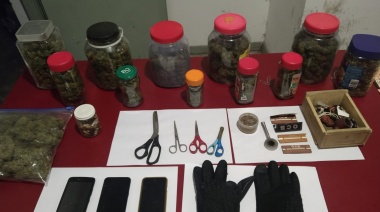 Allanan un "invernadero de marihuana" en una casa de Banfield