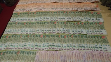 Allanan un "invernadero de marihuana" en una casa de Banfield