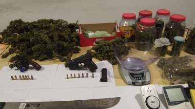 Allanan un "invernadero de marihuana" en una casa de Banfield