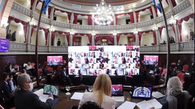 El Senado cambió su reglamento para sesionar virtualmente