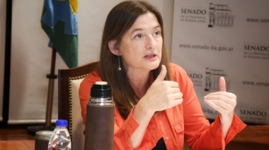 La ministra Estela Díaz participó en Diputados de un plenario de comisiones