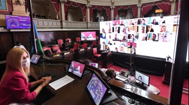 El Senado declaró de interés provincial la donación de plasma de pacientes recuperados