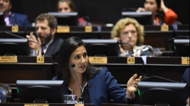 Continúan los cruces en la Legislatura tras la presentación de Bianco