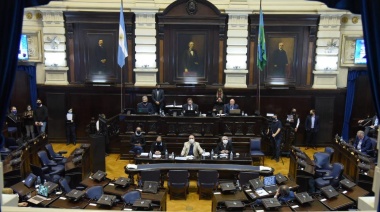 Se agranda "la grieta" en el Senado