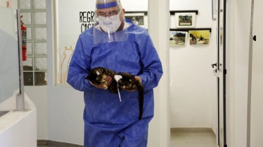 Zoonosis de Brown tiene nuevos quirófanos