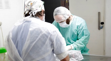 Zoonosis de Brown tiene nuevos quirófanos