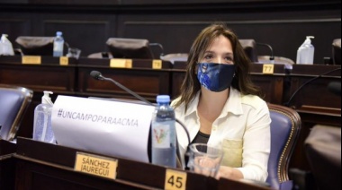 Proponen la obligatoriedad de despejar tomas de tierras y usurpaciones