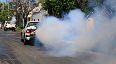 Grindetti supervisó el inicio de los operativos de prevención del dengue en Lanús