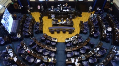 Diputados aprobó la cobertura de IOMA para chicos residentes en hogares