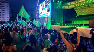 El proyecto por el Aborto Legal, Seguro y Gratuito obtuvo media sanción en la cámara baja 