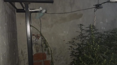 Incautaron más de seis kilos de marihuana de un vivero denunciado por vecinos