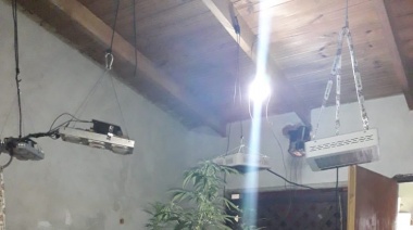 Incautaron más de seis kilos de marihuana de un vivero denunciado por vecinos
