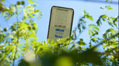 Continúa la instalación de 27 mil luminarias LED en Brown