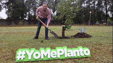 ¿A Fernando le soltaron la mano? Gray resiste solo y judicialmente la embestida en el PJ