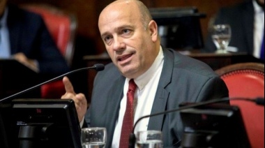 Para De Leo, las elecciones “no pueden suspenderse” solo para "beneficiar al oficialismo"