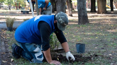 La comuna continúa con la plantación de 1200 arboles en plazas del distrito