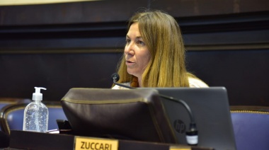 Zuccari afirmó que "sería lógico que Kicillof abra las escuelas" como en la Ciudad