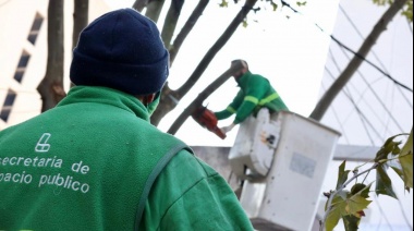 Avanza el plan de poda y control de arbolado en la zona oeste del distrito