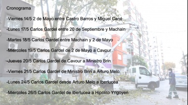 Avanza el plan de poda y control de arbolado en la zona oeste del distrito