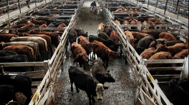 Enérgico rechazo de Juntos por el Cambio a la injerencia del Estado en el mercado de carnes