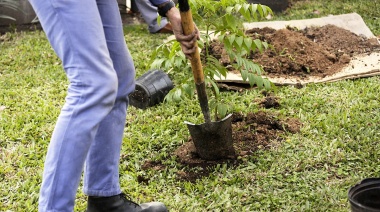 La comuna llevó adelante una jornada de forestación con especies de plantas autóctonas