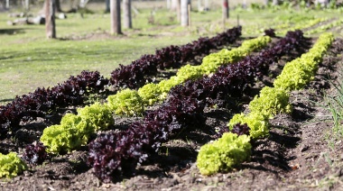 La comuna entregó plantines y semillas a vecinos que completaron un curso de huerta