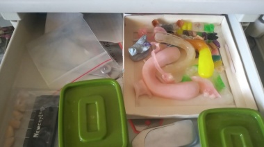 Detuvieron a un “dentista trucho” que atendía en un consultorio ilegal de Temperley