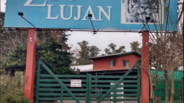 La Defensoría del Pueblo denunció penalmente al dueño del zoológico de Luján por violencia animal