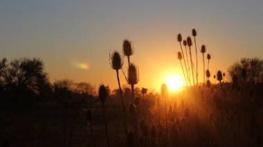 Lanzan el primer documental sobre ambiente y biodiversidad de Almirante Brown