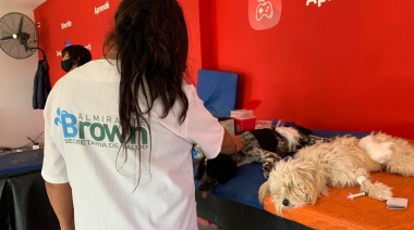 Zoonosis Brown bate récord de prestaciones y agranda su equipo