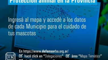Conocé el mapa interactivo que permite ver los lugares de protección animal de cada ciudad