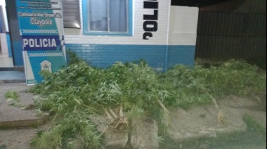 Llamaron a la Policía por un conflicto familiar pero encontraron 15 kilos de marihuana