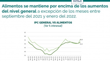 La brecha entre los precios de los alimentos y la inflación general trepó al 8,5% en los últimos 5 años