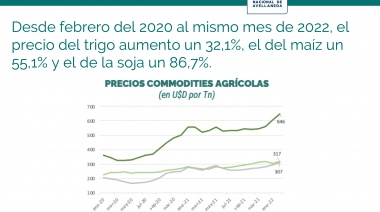 La brecha entre los precios de los alimentos y la inflación general trepó al 8,5% en los últimos 5 años