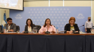 Diputados avanza en el debate de la Ley de Alquileres