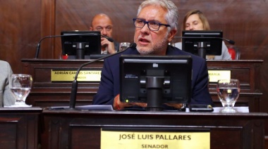 El Senado convirtió en ley la propuesta sobre “Derecho a la Identidad de Origen”