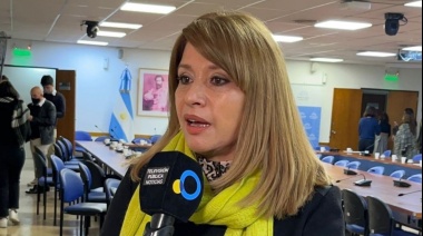 Litza consideró que “con la boleta única la oposición logró una victoria efímera”