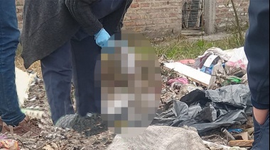 Crimen en Fiorito: aseguran que “todavía hay partes del cuerpo que no se encontraron”