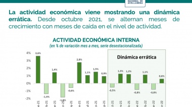 Panorama económico: las dificultades en la era “post Guzmán”